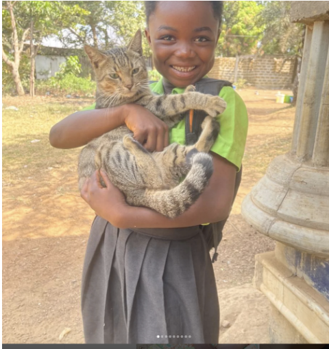 Screenshot 2026-02-17 at 15.14.16.png