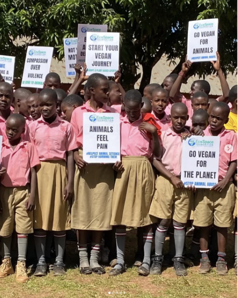 Screenshot 2026-02-17 at 15.14.26.png