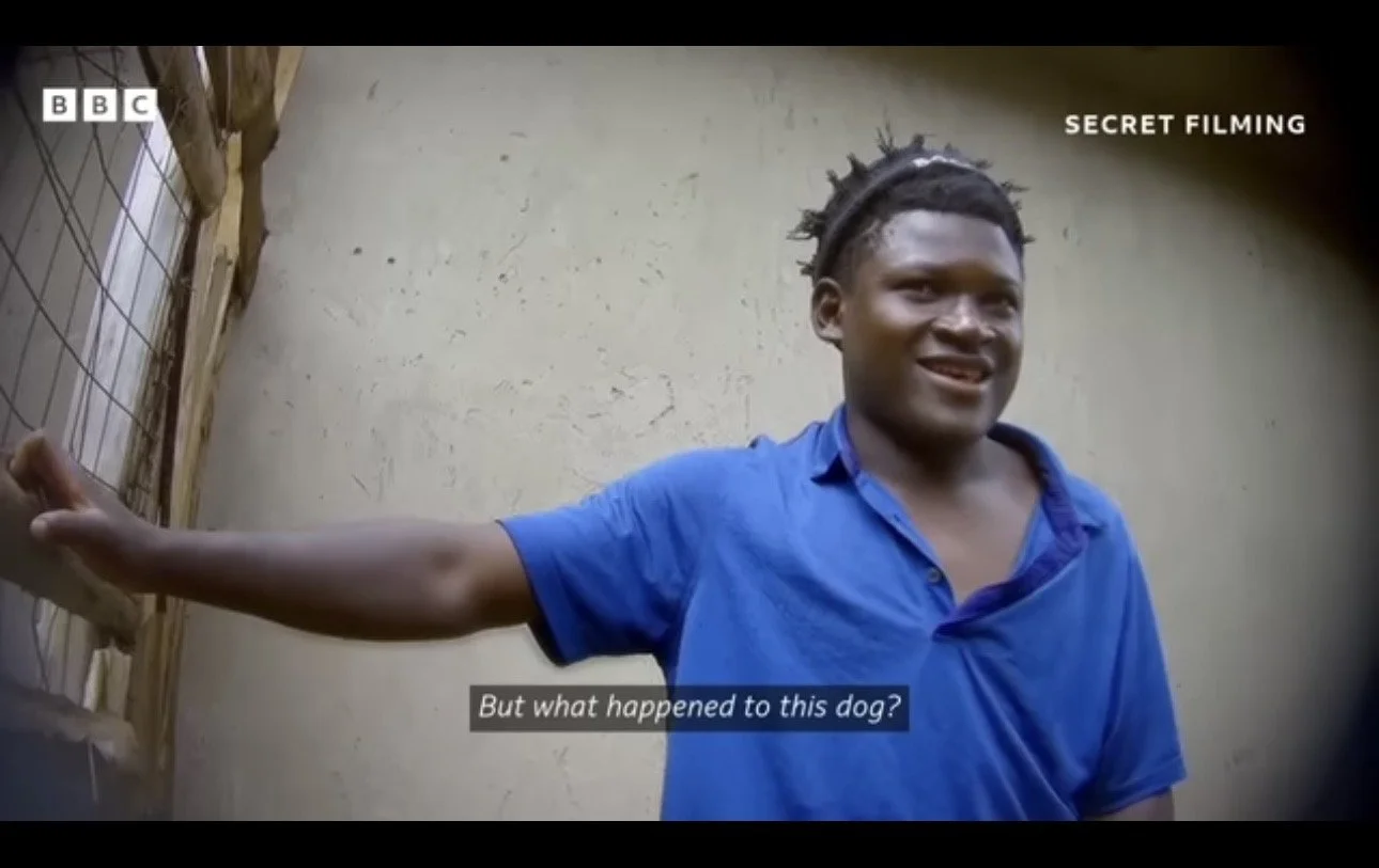 Coalition For Cruelty Free Africa&nbsp;Press Release&nbsp;:Ugandan Animal Abuser Scammers 