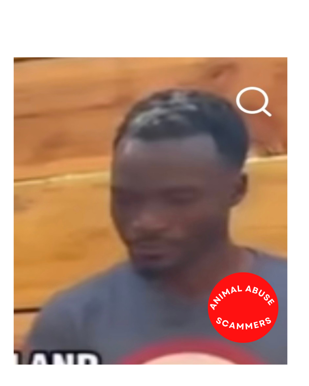 8.png