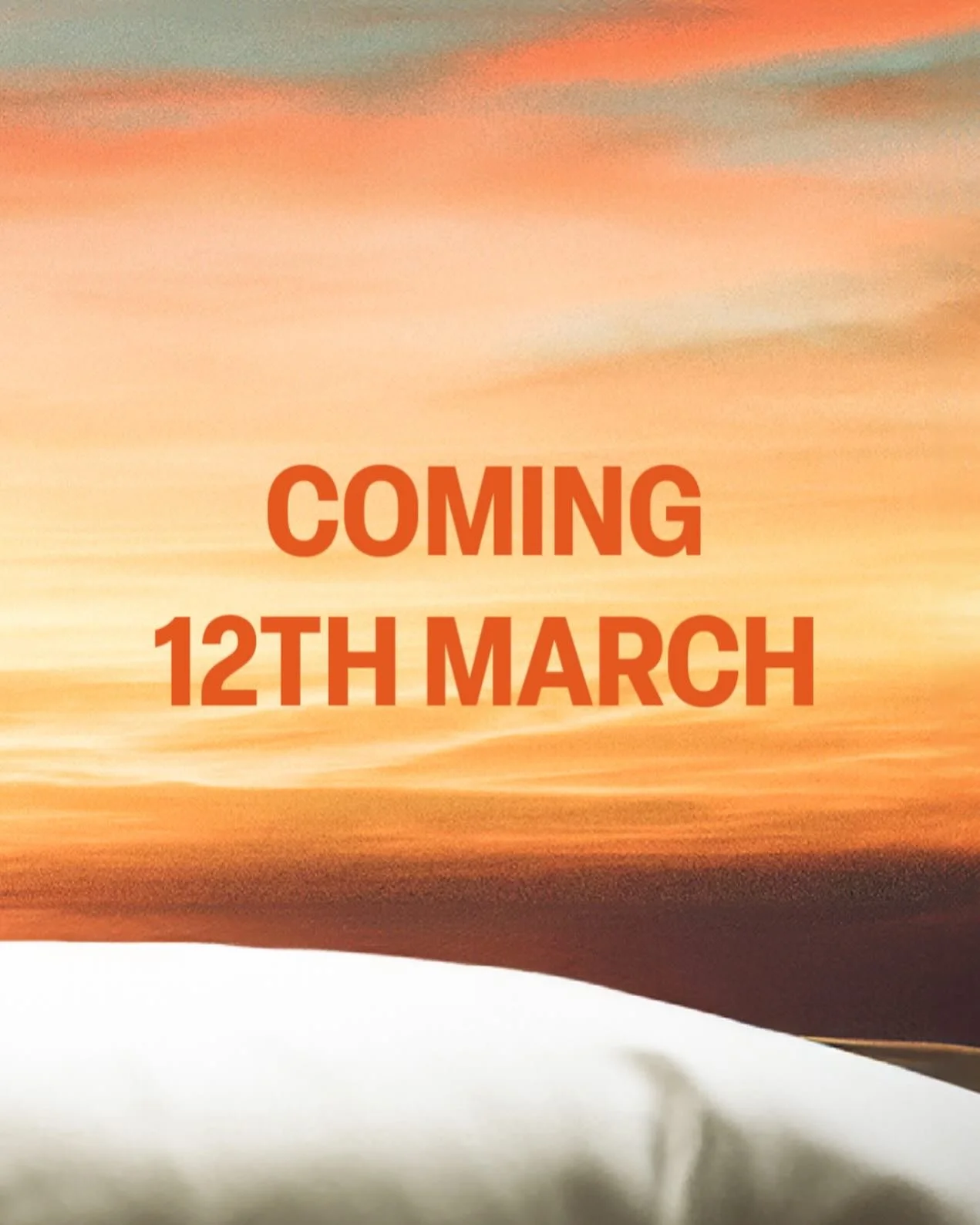 Link in bio 🚢  #thriller #cruise #book #crime