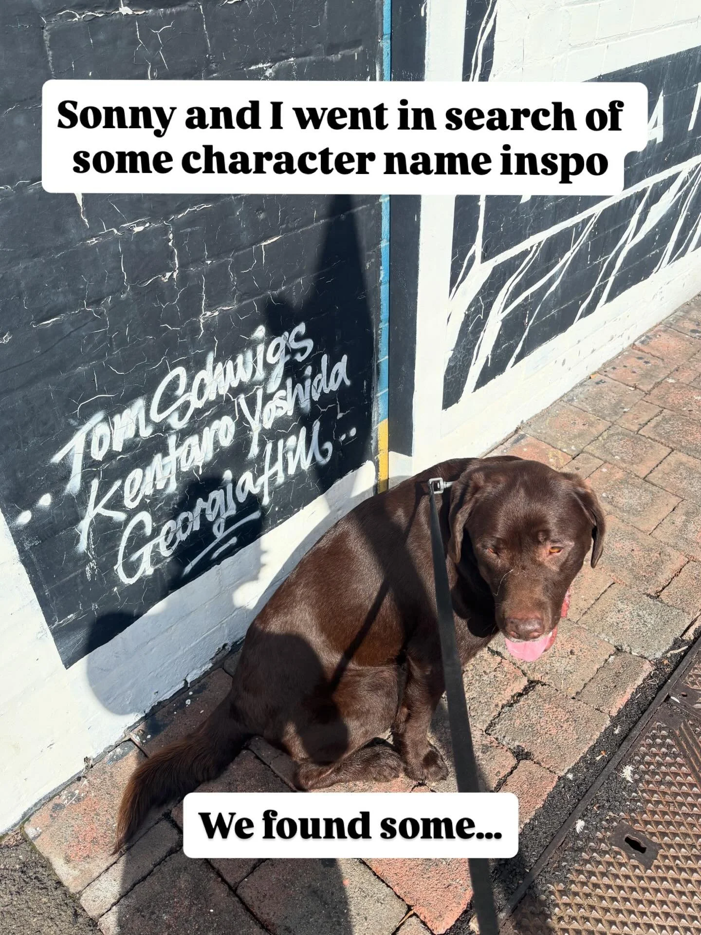 Look out for a Georgia, a Marguerite and  a Hannah coming to an Ali Lowe book near you 😆