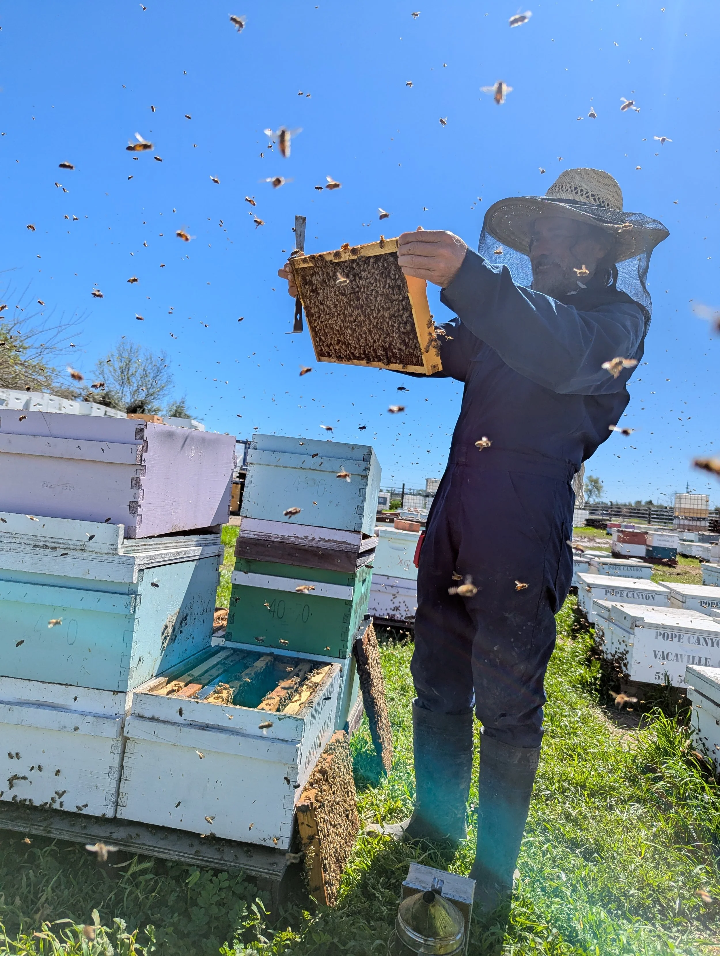 credit: Jack Andreoni