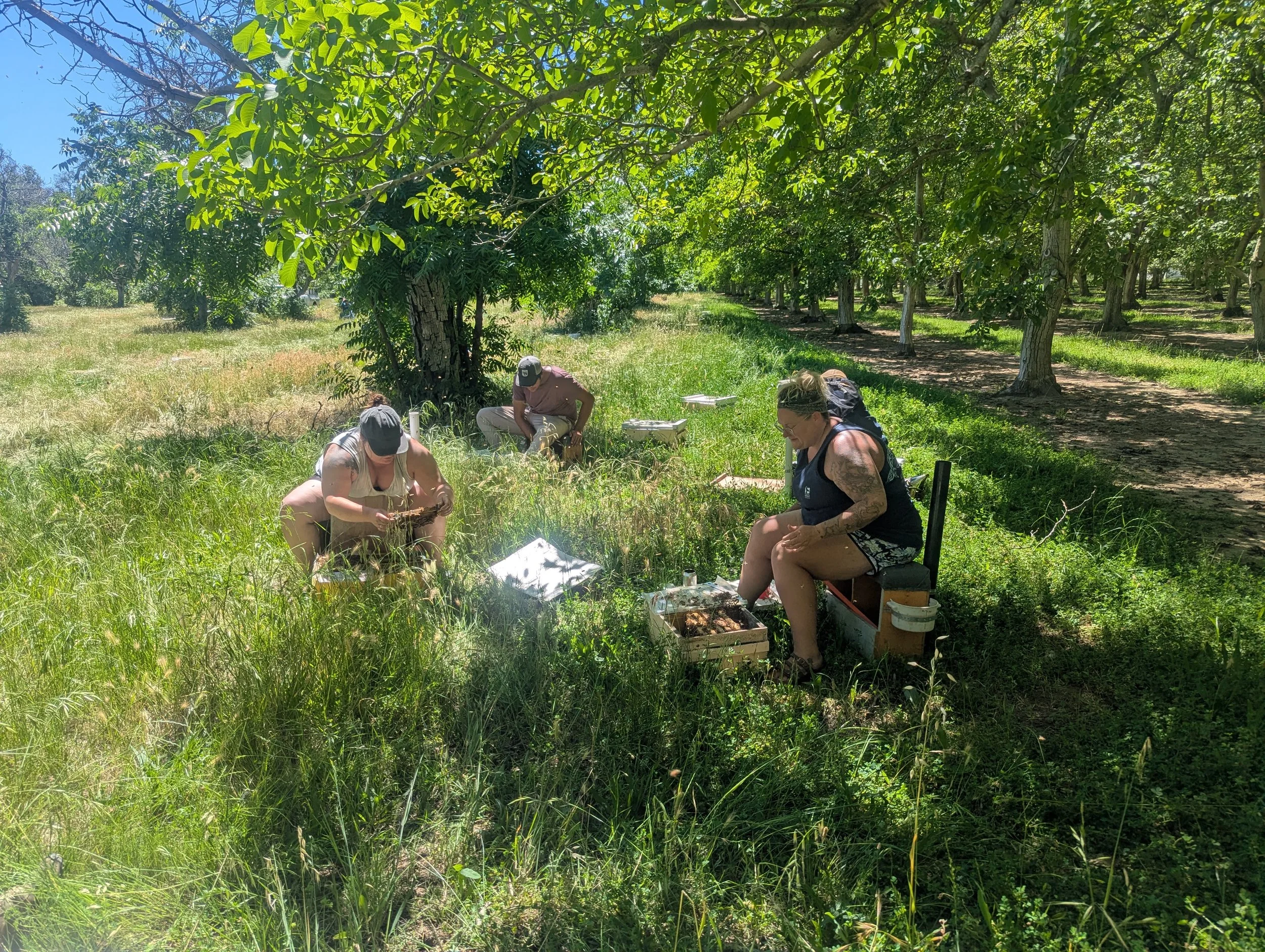 credit: Jack Andreoni