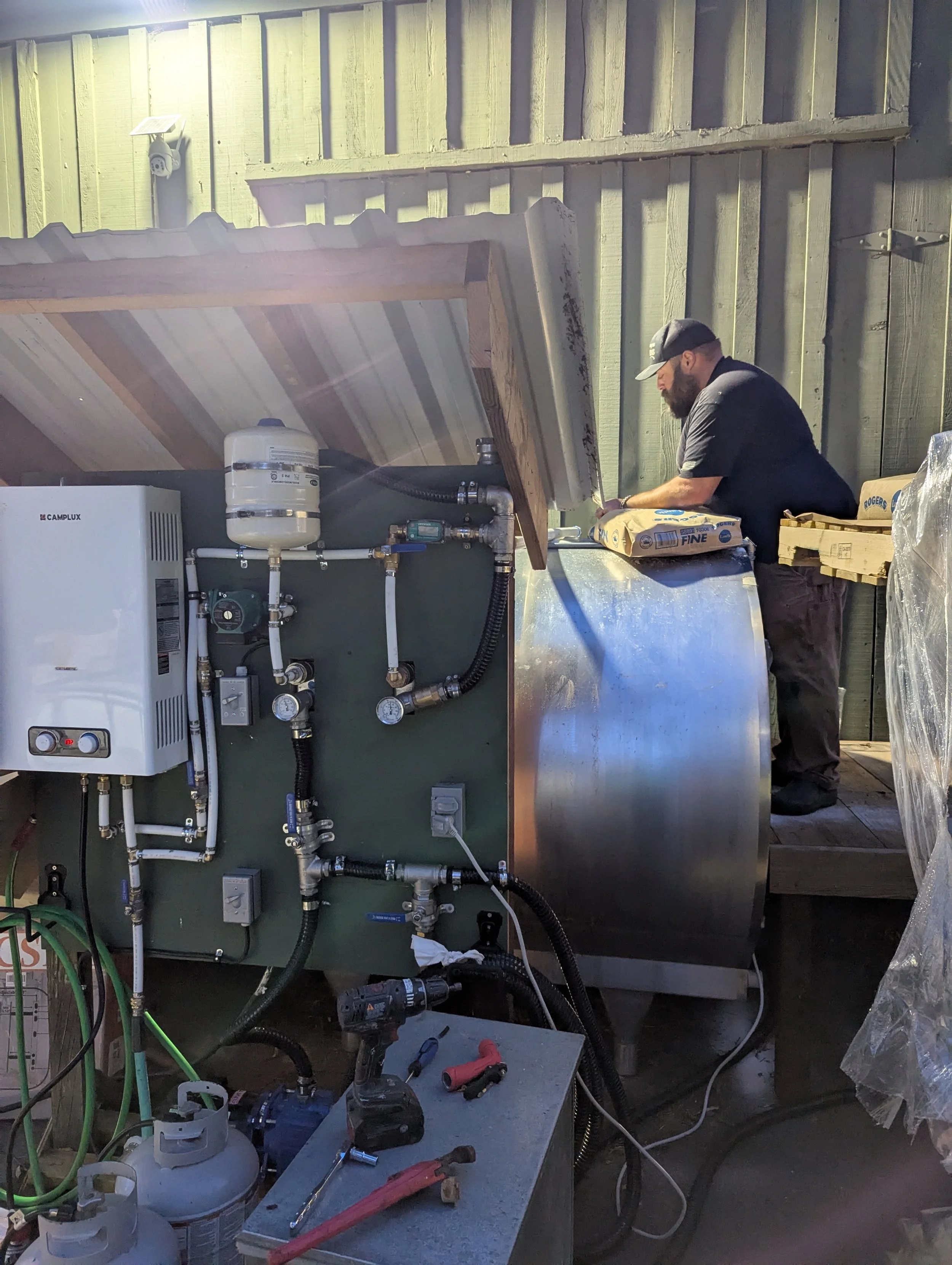 credit: Jack Andreoni