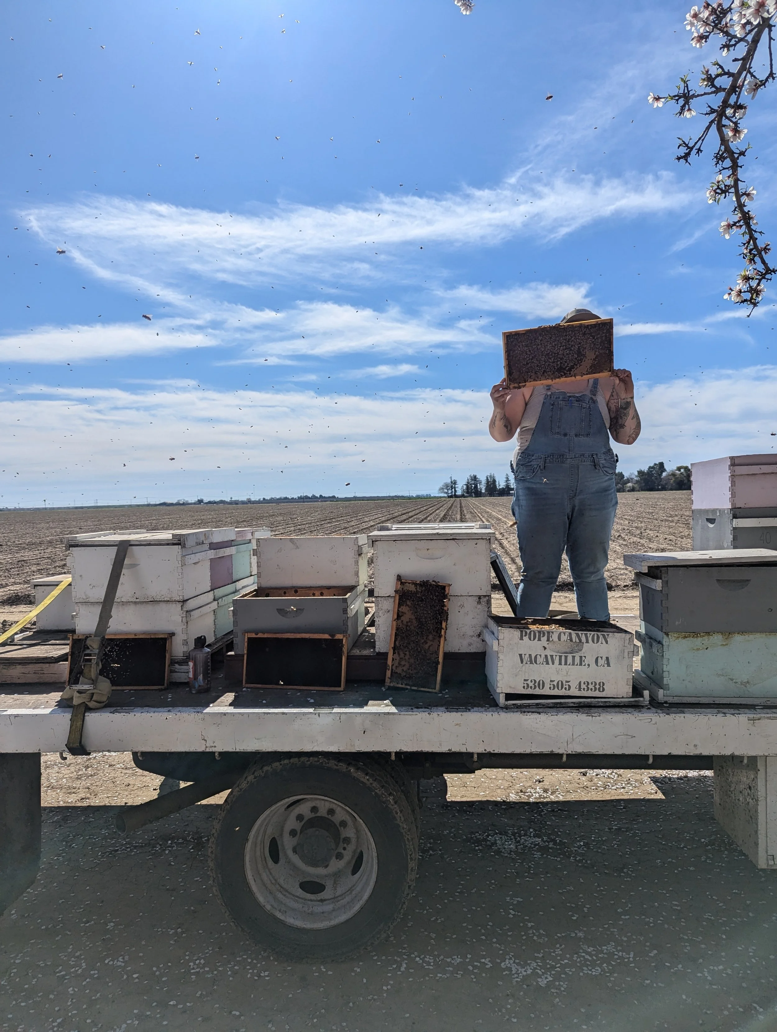 credit: Jack Andreoni