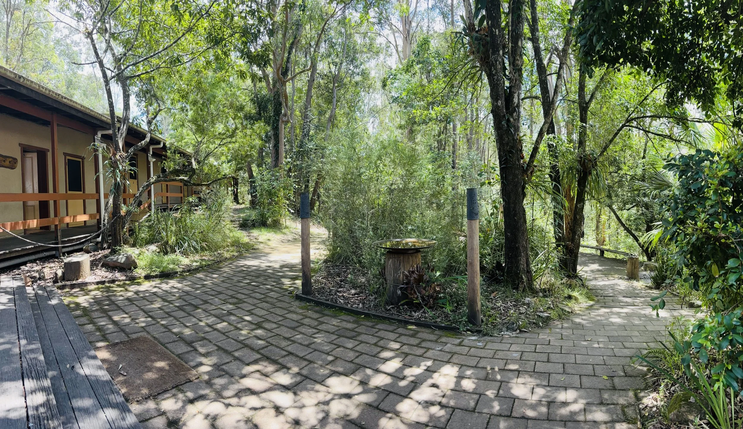 IMG_7040.jpg