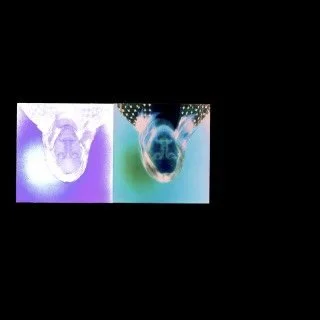 Askjell - atomic bombs atomic bonds i love you