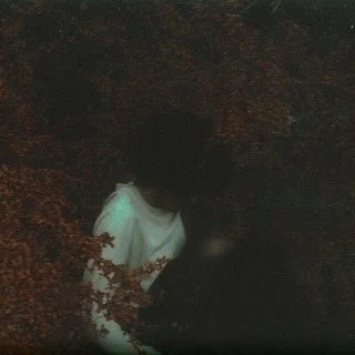 Beharie - Point of View