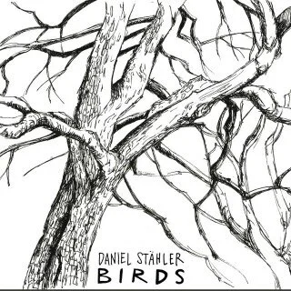 Daniel Stähler - Birds