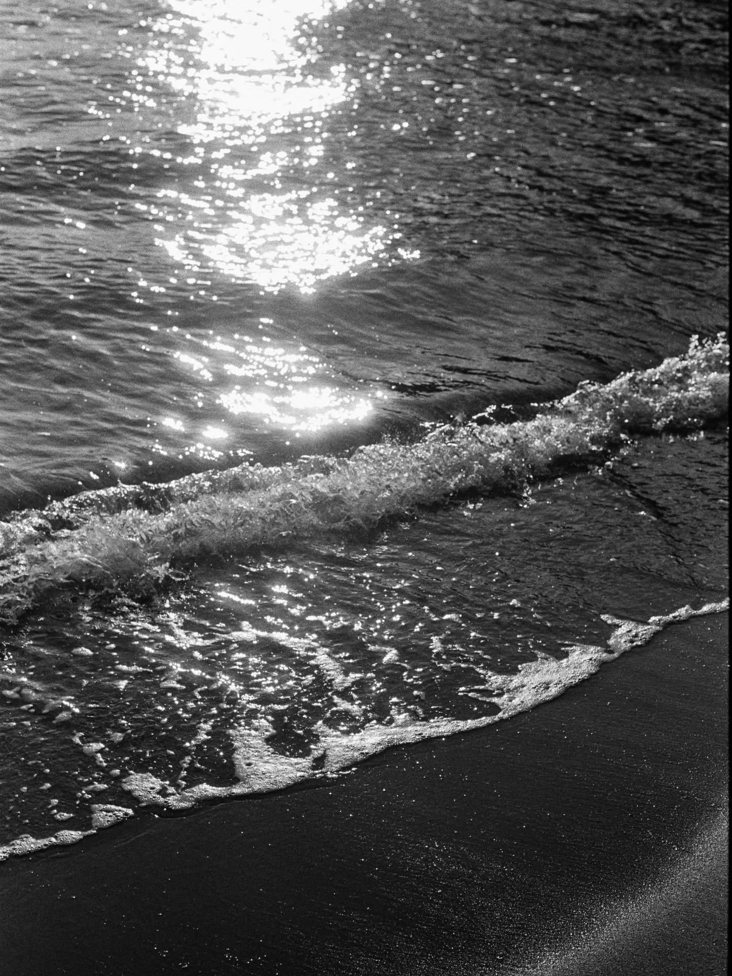 NON abbiamo riso,
NON abbiamo pianto,
NON abbiamo ballato,
NON abbiamo bevuto,
NON abbiamo cantato.
Abbiamo solo passato qualche ora insieme a 30 delle nostre persone preferite. &hearts;️

Foto: @alessiagatta_photostudio e @andreaferrigatophoto
Video