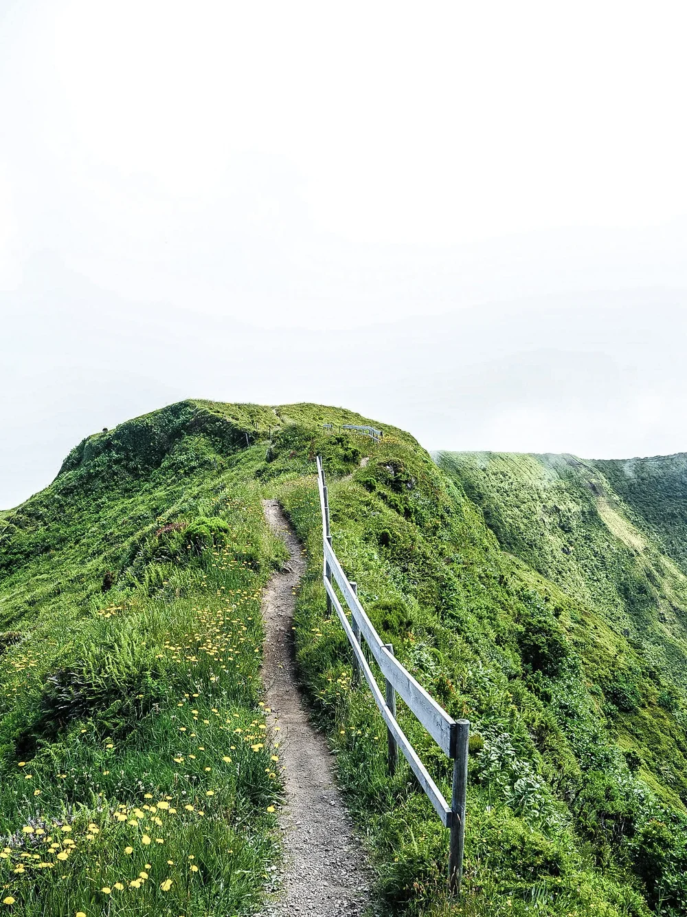faial_marberg_16.jpeg