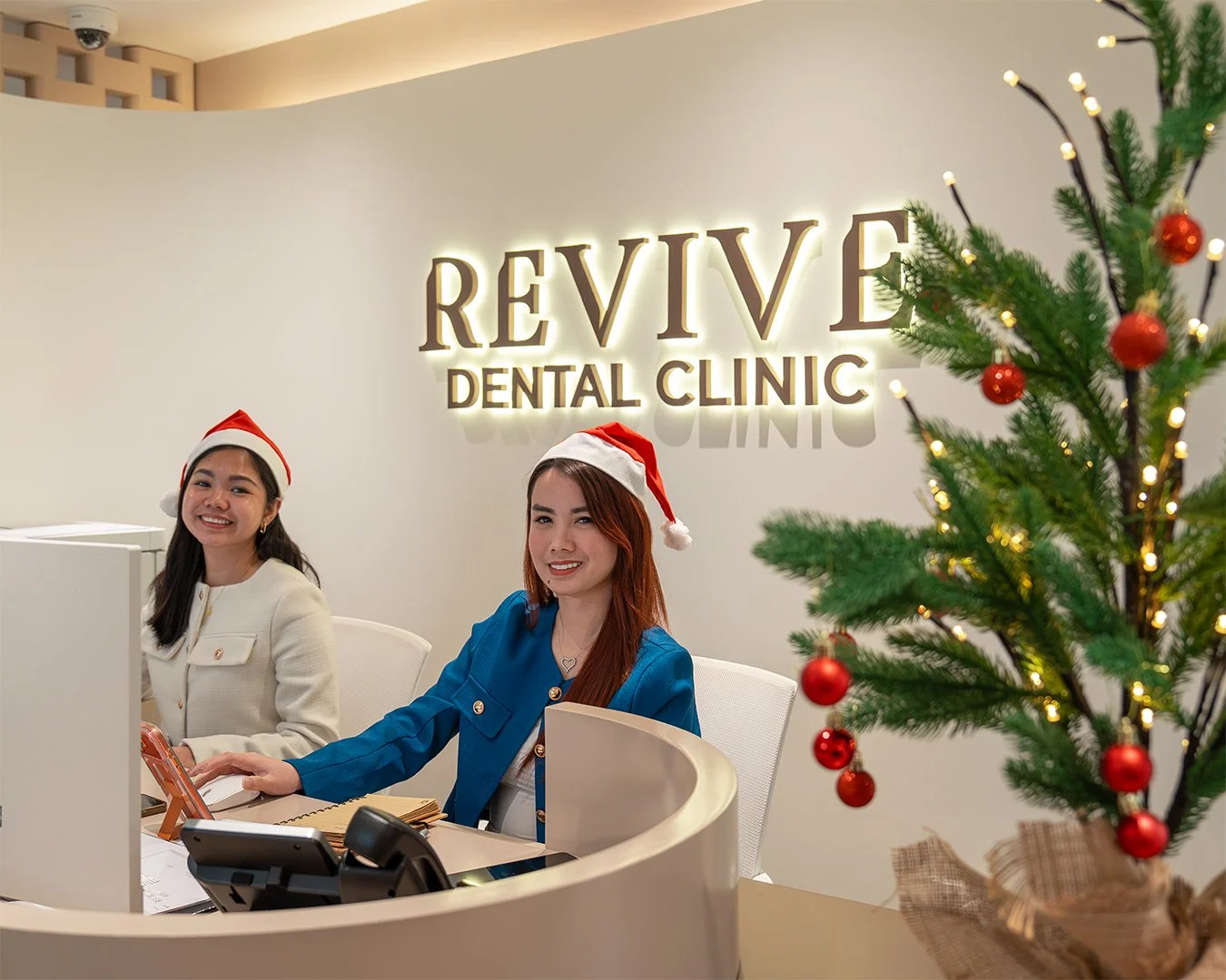 REVIVE - 008 - Xmas carousel 2.jpg