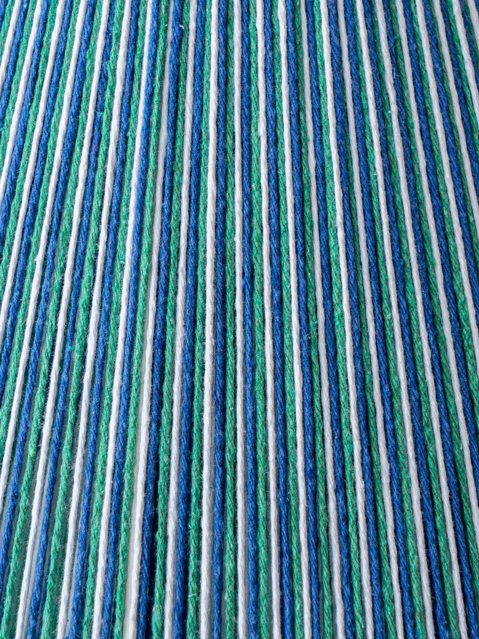 DSC09876.jpg