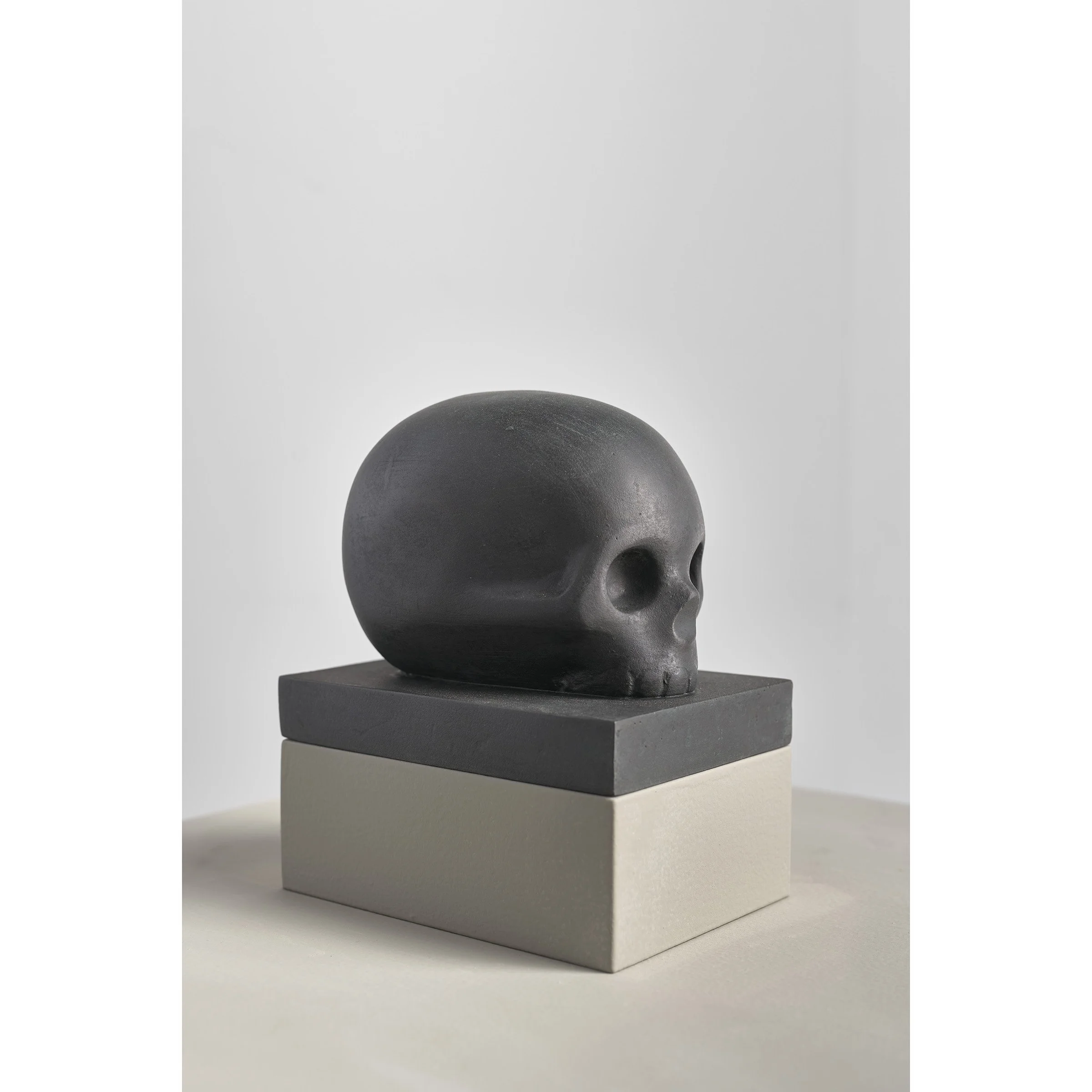 Crown and Root (Skull and Pelvis), 2023, bronze, MDF, paint, 35 x 70 x 20cm