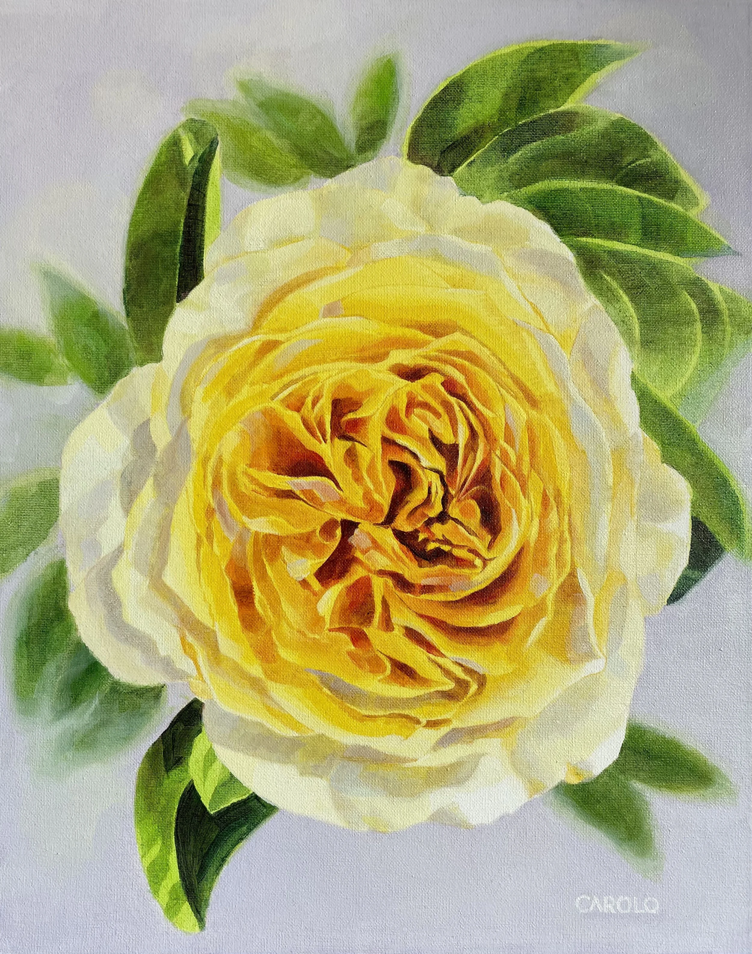 Rose     $650