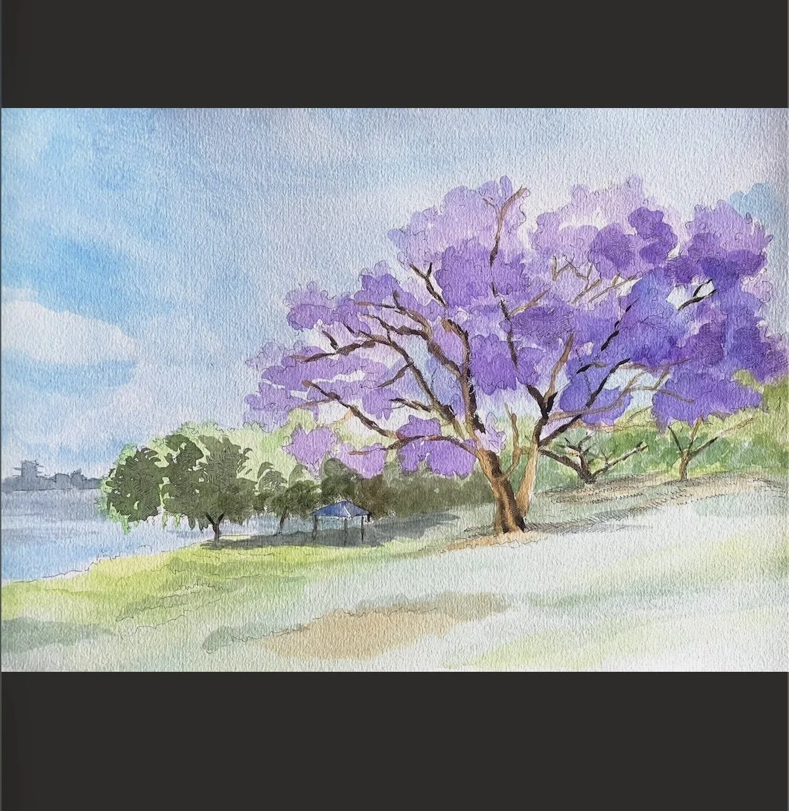 Jacaranda West End (Print)