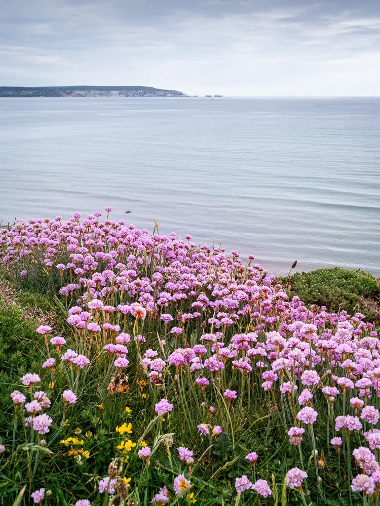 Looking out to the Needles
