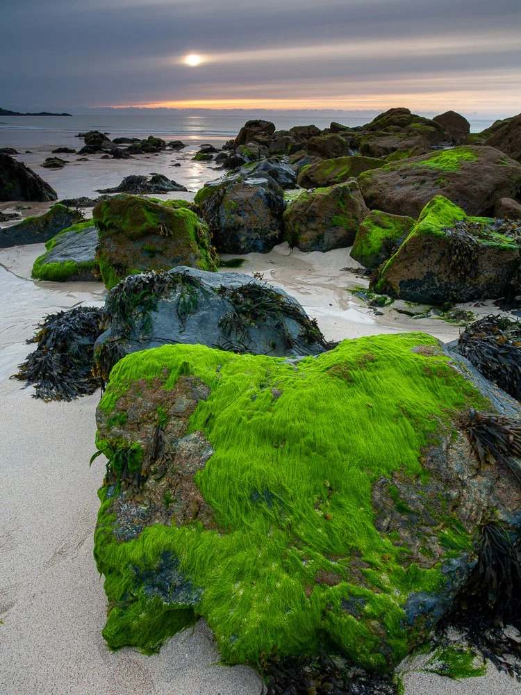 Slipper Rocks, Porthmeor
