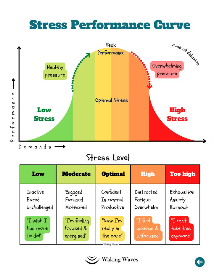 In the zone? Know your Optimal Stress levels for Performance — Waking Waves