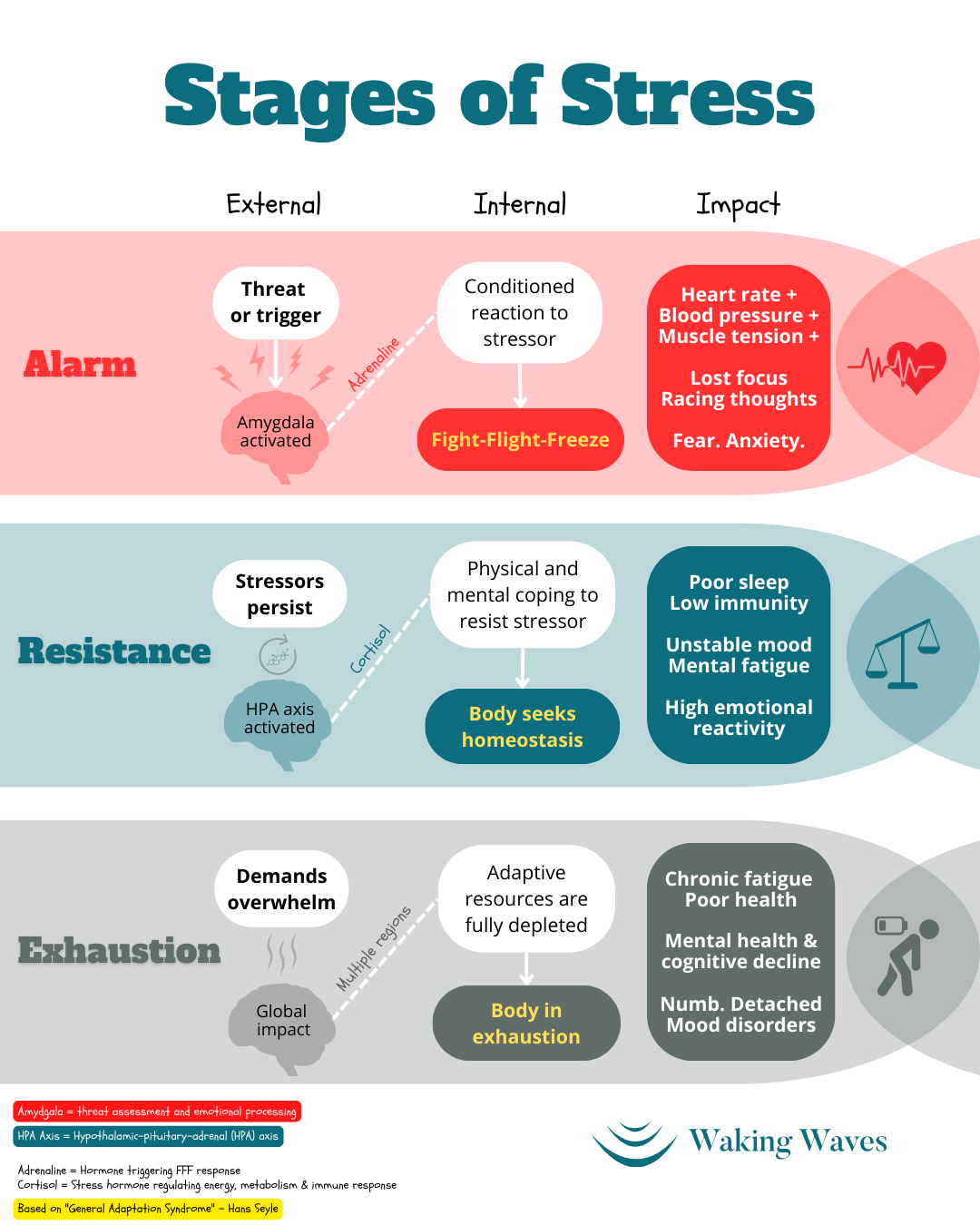 How The 3 Stages Of Stress Can Lead To Burnout Waking Waves Waking how-the-3-stages-of-stress-can-lead-to-burnout-waking-waves-waking