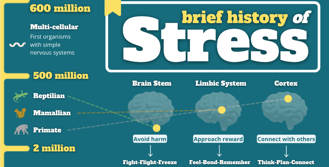 Brief History of Stress: Prehistoric origins - health impact — Waking Waves