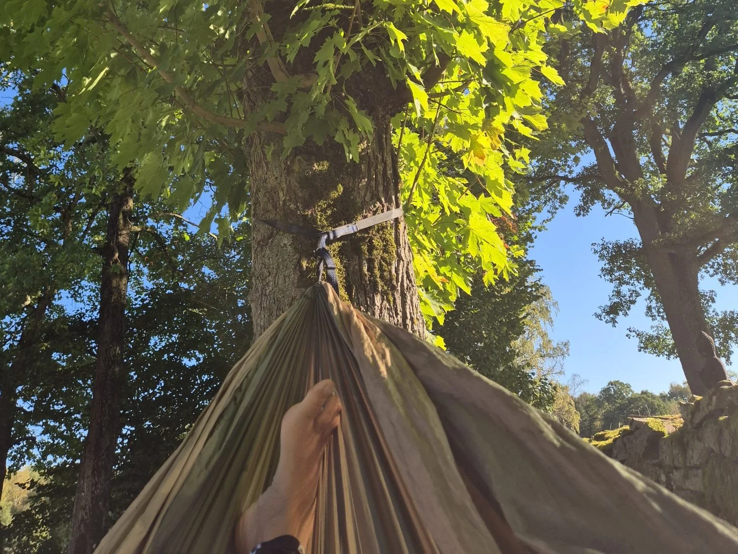 WhatsApp Image 2026-01-29 at 12.12.20 (1).jpeg