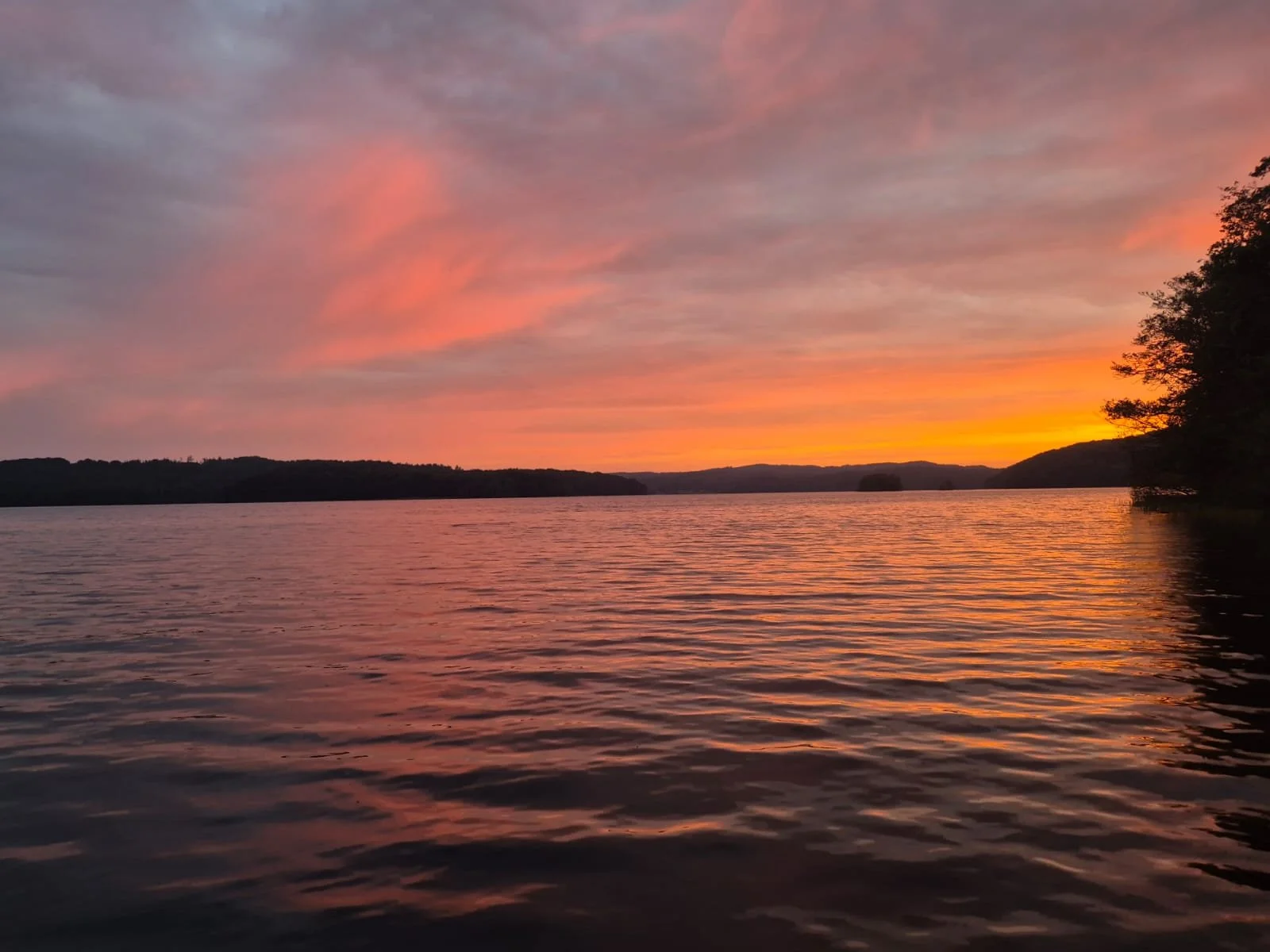 WhatsApp Image 2026-01-31 at 09.51.38 (1).jpeg