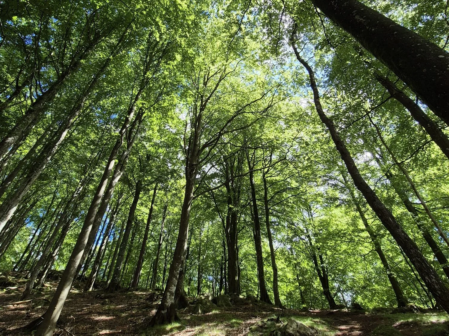 WhatsApp Image 2026-01-31 at 09.51.39.jpeg