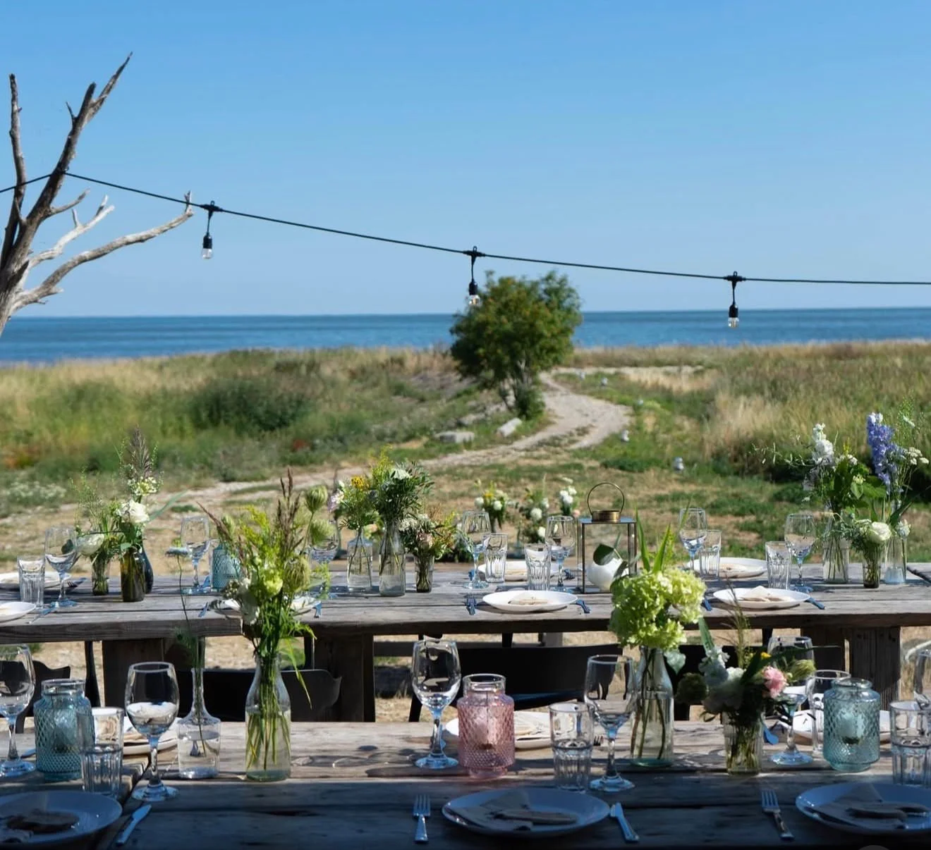 WhatsApp Image 2026-02-18 at 11.16.21.jpeg