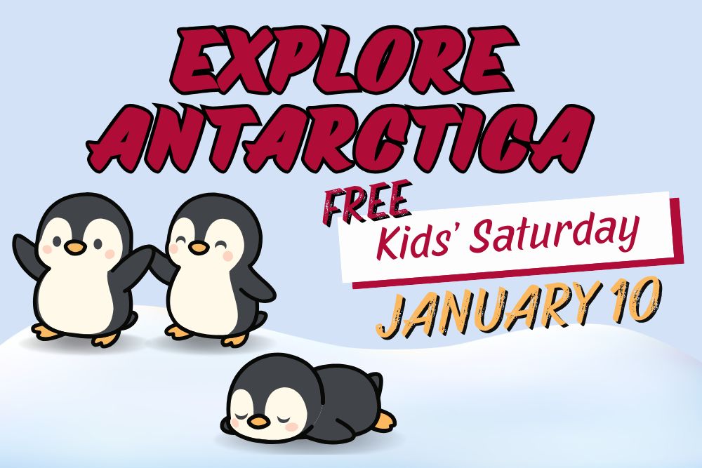 Kids' Saturday: Explore Antarctica