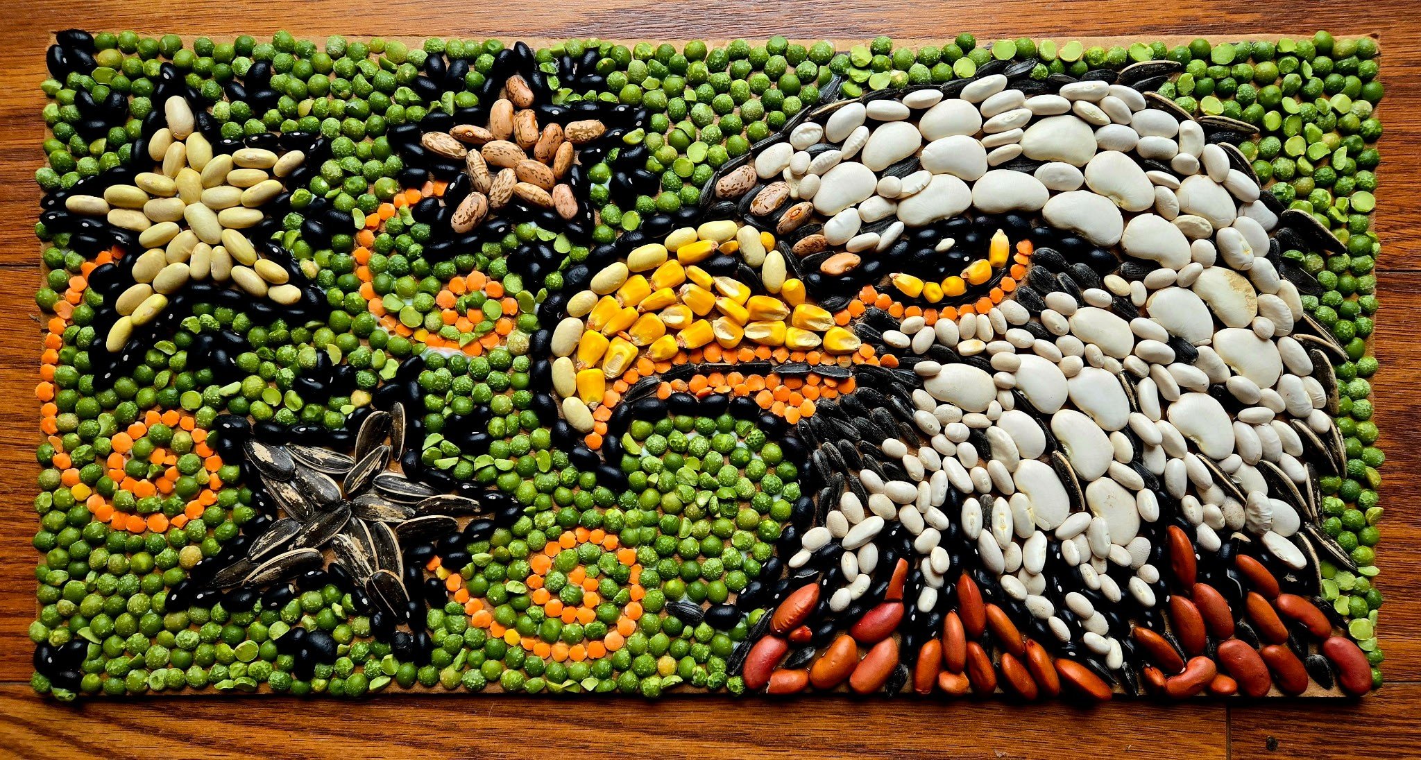 Amy Anderson Crop Art.jpg