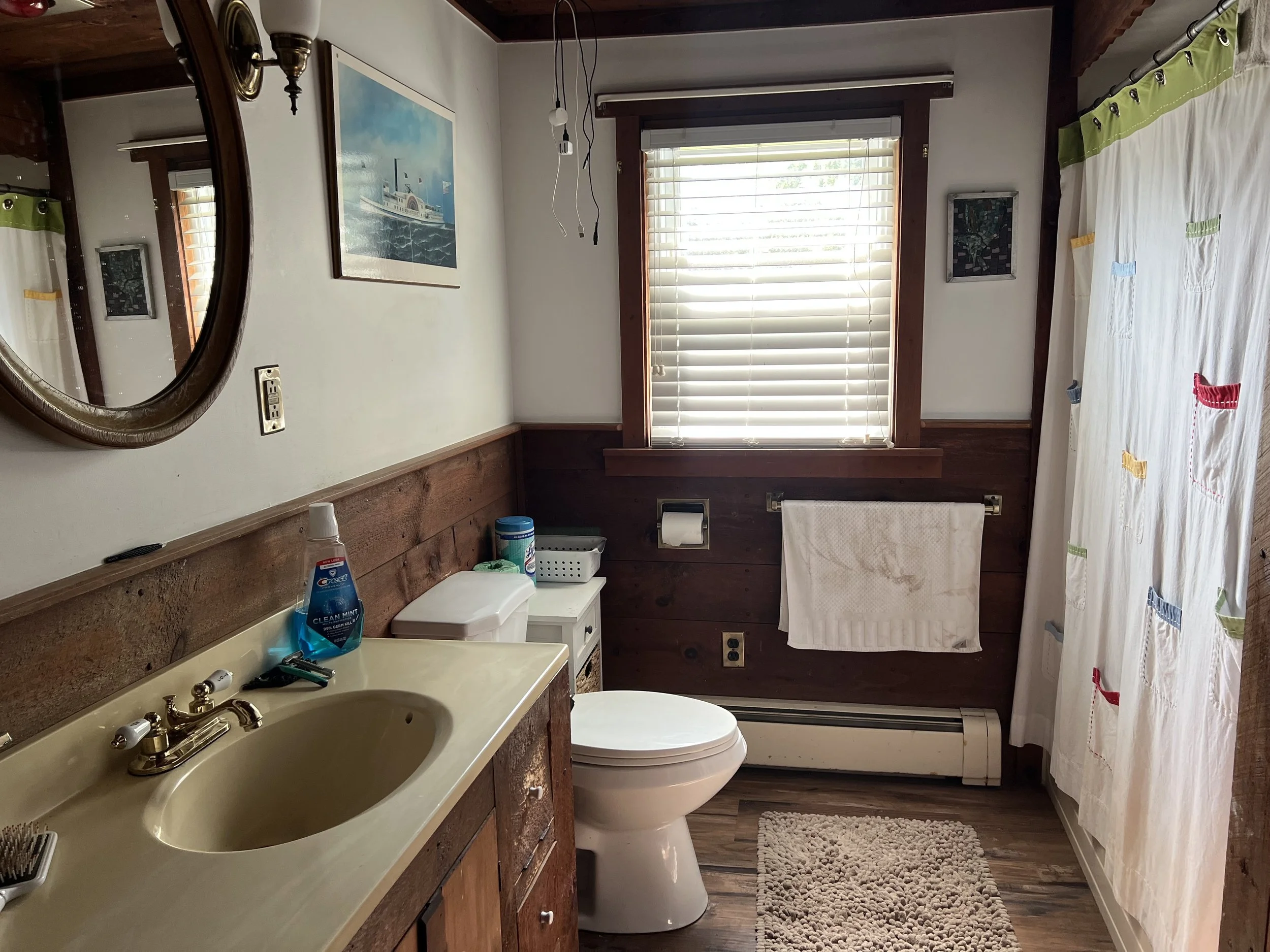 First Floor Bathroom Before