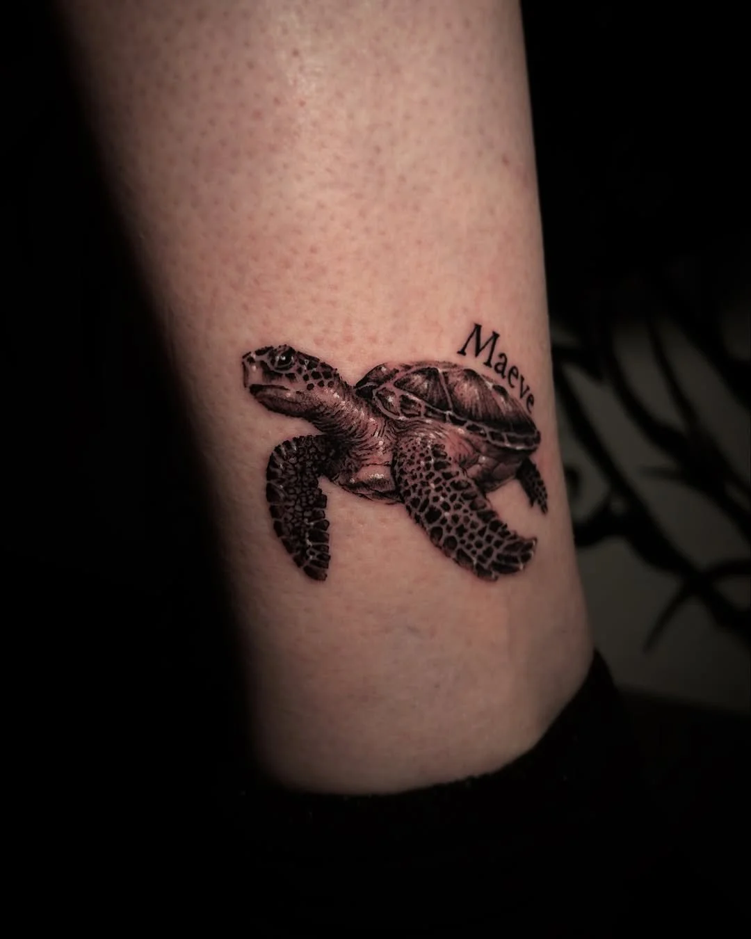 Shining turtle 🐢 Booking open July 💀 Dm me -)#tattoo #tattooist #tattooist #tattooart #tattoos #tattooing #ttt #ink #inked #tattooed #tattooflash #flashtattoo #tattoodesign #tattooideas #tatt #blackandgreytatt.jpg
