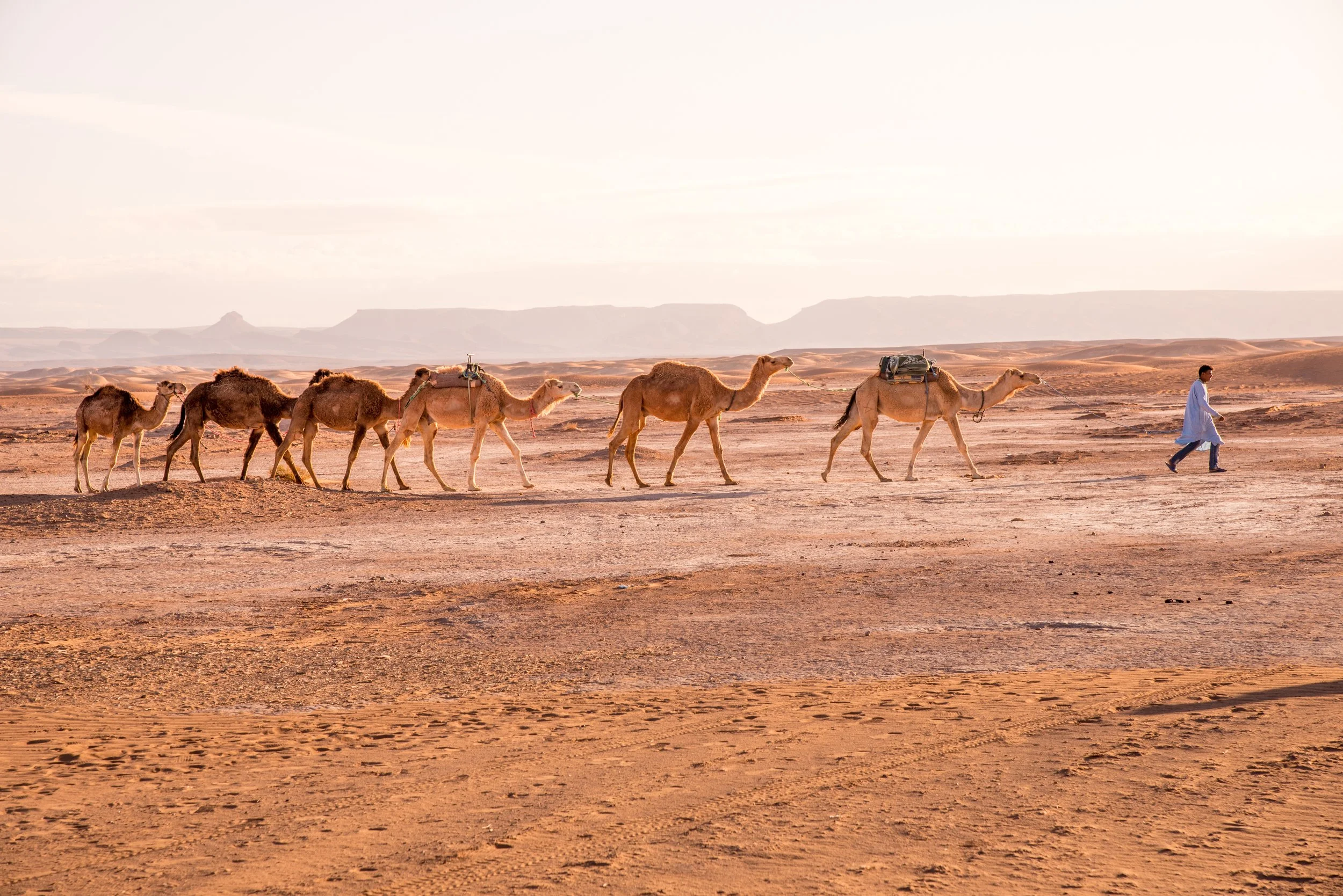 Chigaga May 10 2016-4334.jpg