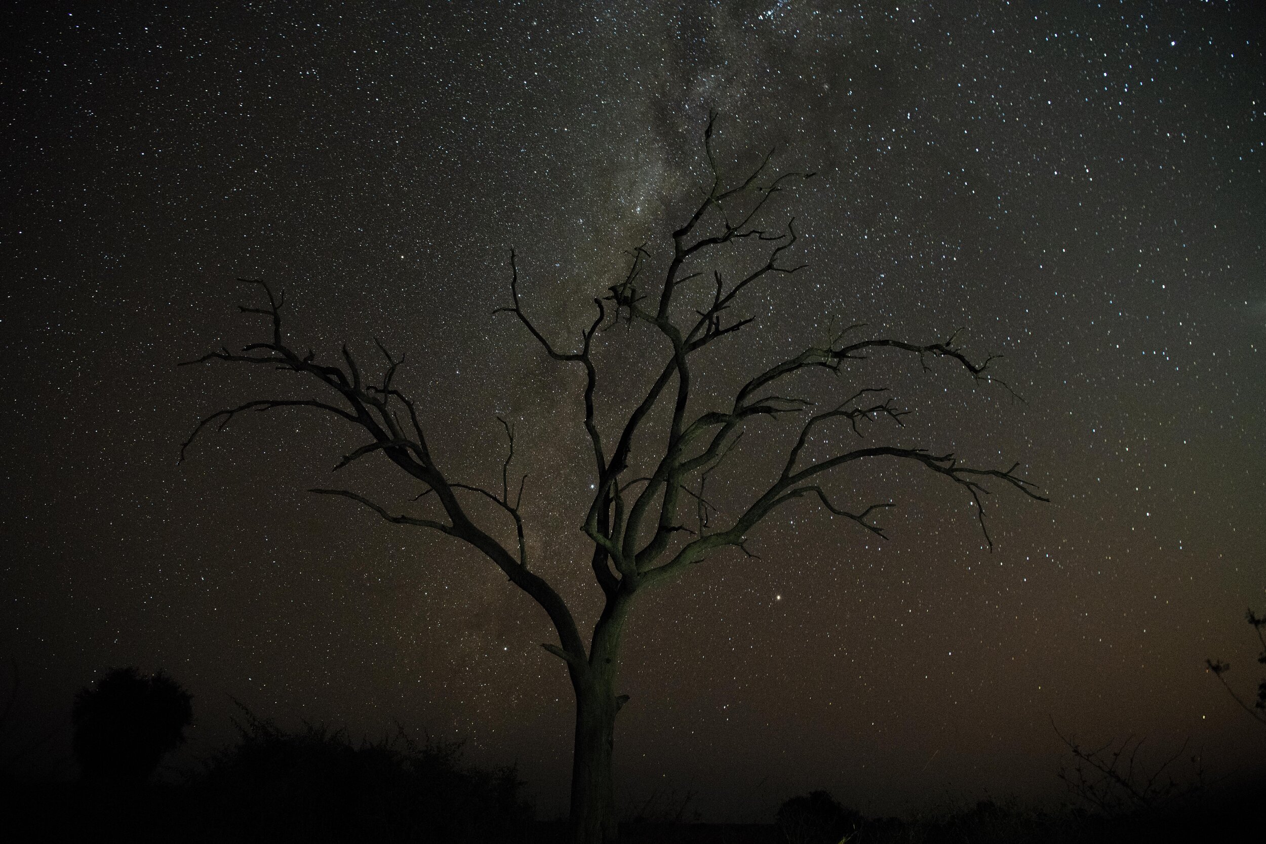 Duba 25 Sep 2021-8506993.jpg