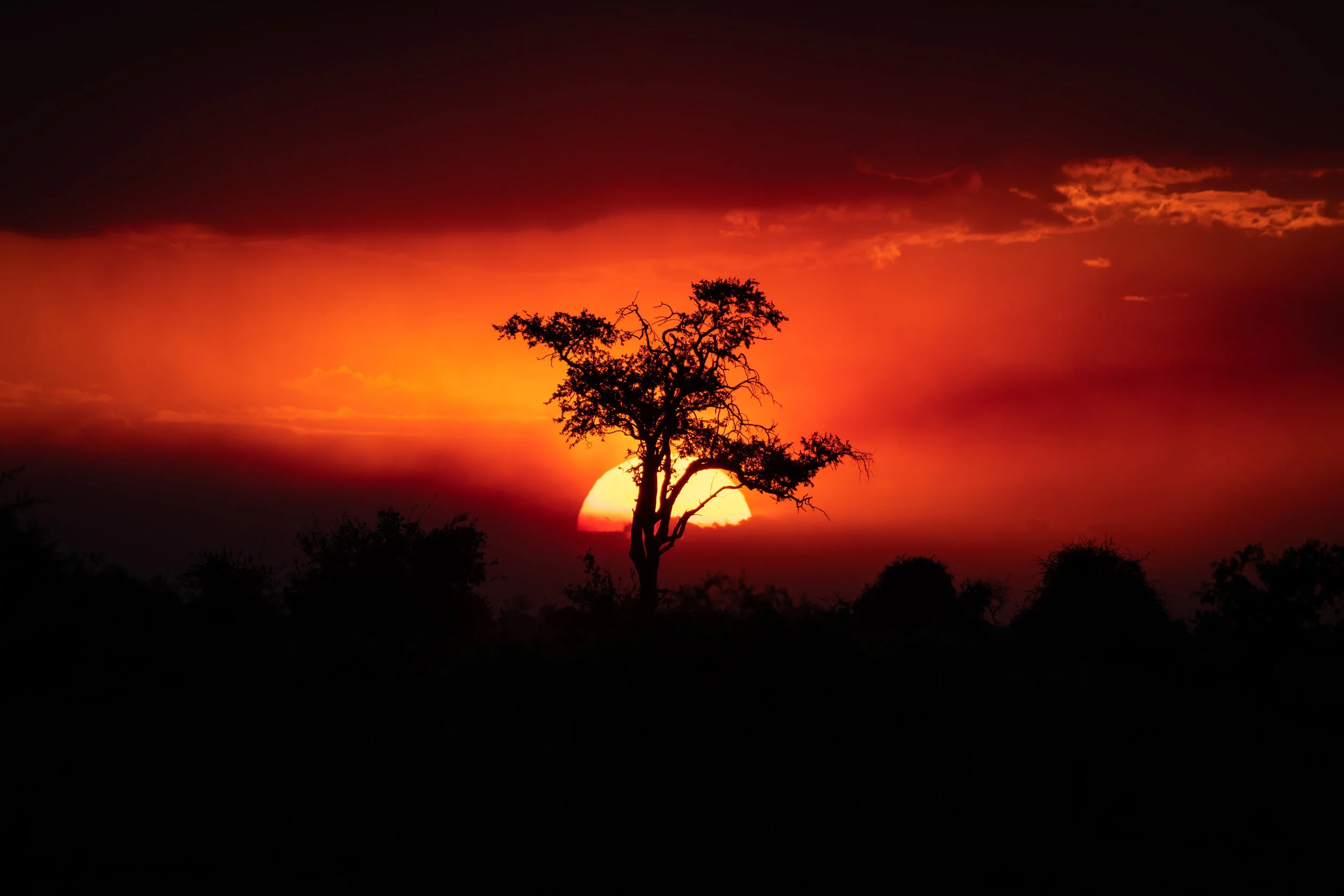 Okavango Sunset - Bryan Anderson.jpg