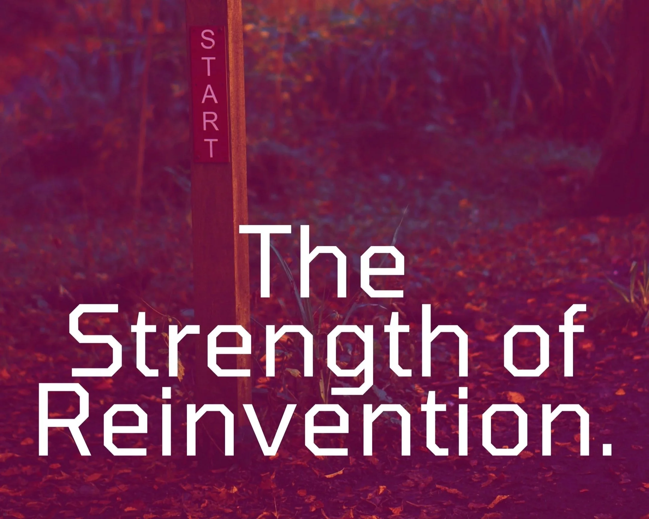 The Strength of Reinvention