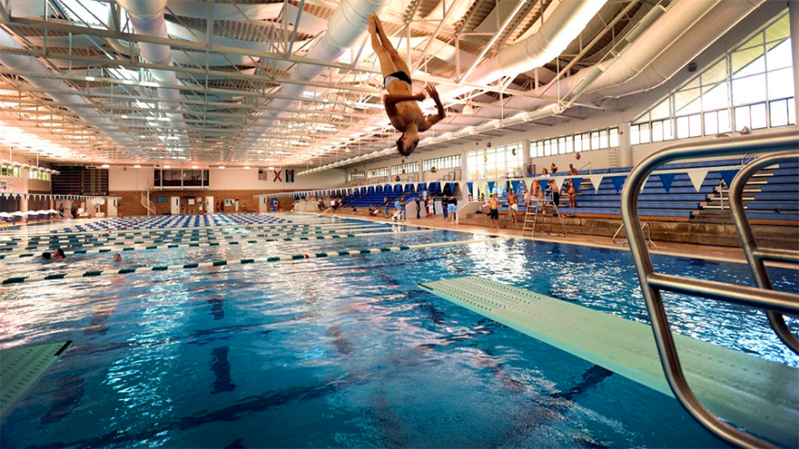 DivingBoard_FullGallery.png