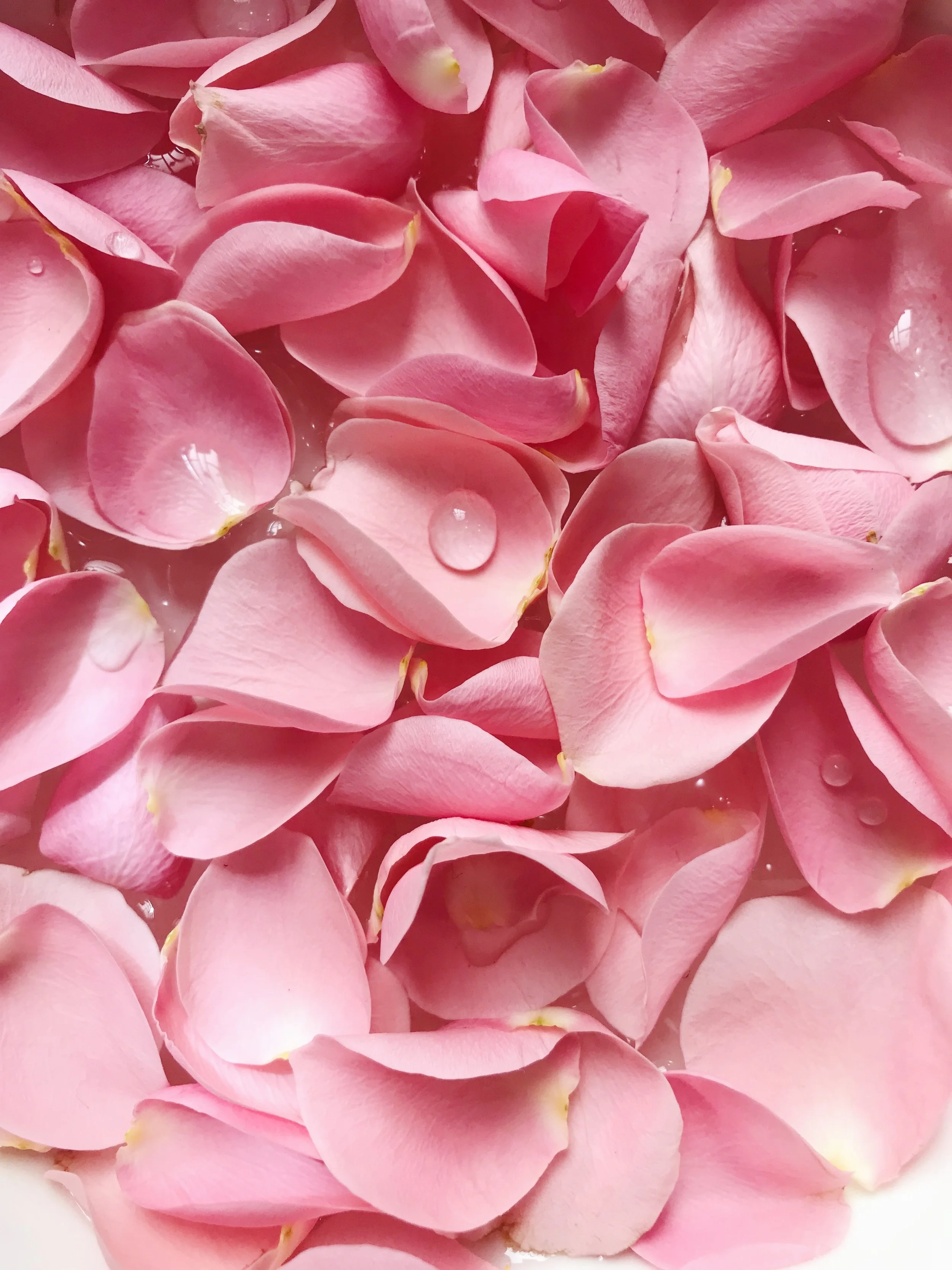 Flower Petals Utah Wedding Florist