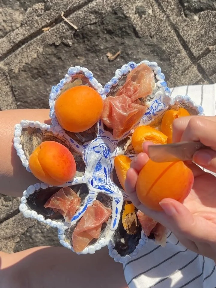 Officially stone fruit season my favorite time of year. Yes I make oyster plates but they hold apricots and prosciutto 99% of the time 🍑🍑🍑