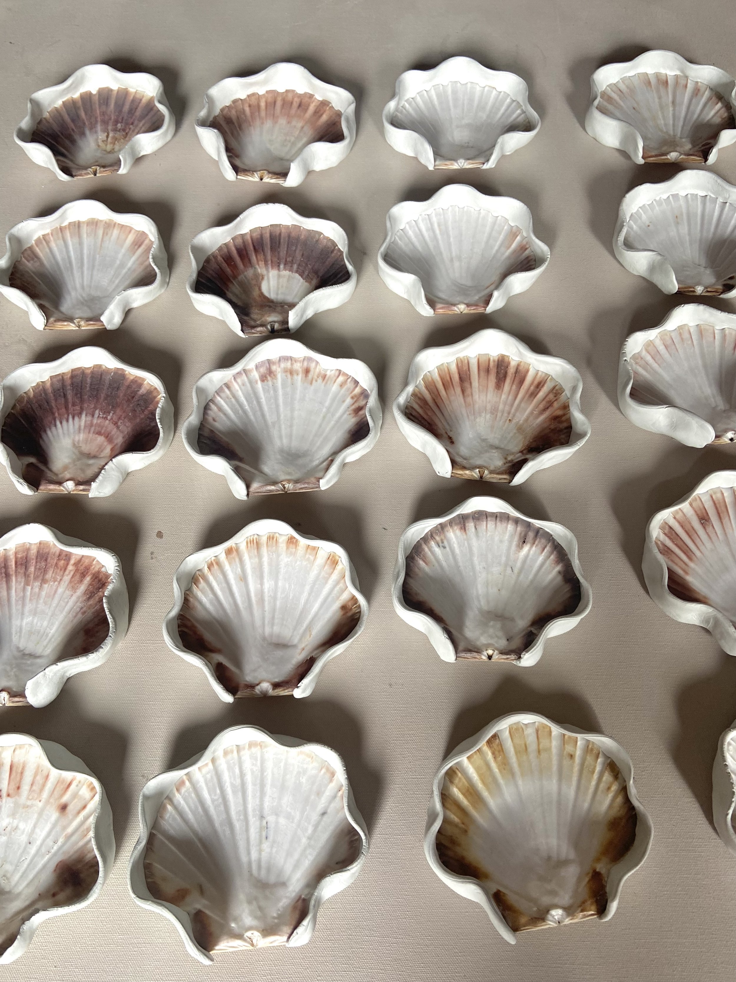 IMG_9951 2.jpg (Copy) (Copy)