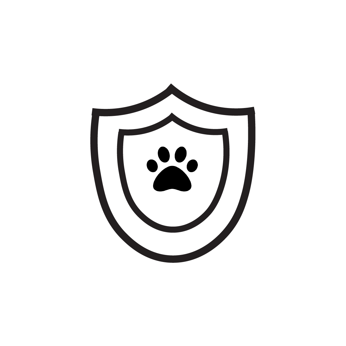 Army Secrets achievement patch 