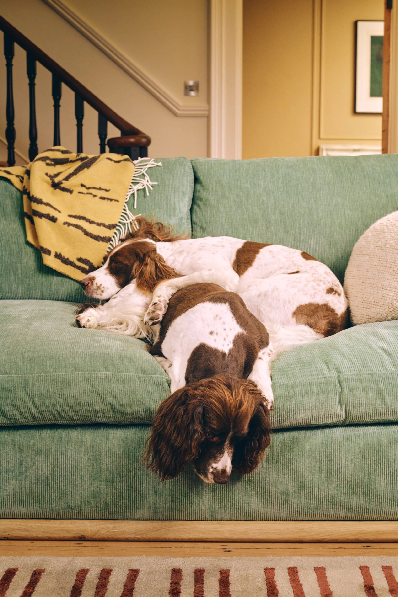 CC_Retouch_021026-35.jpg