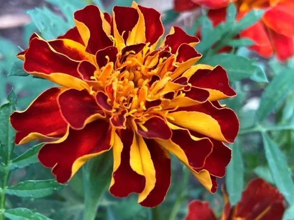 [2026] #7 Women's Retreat