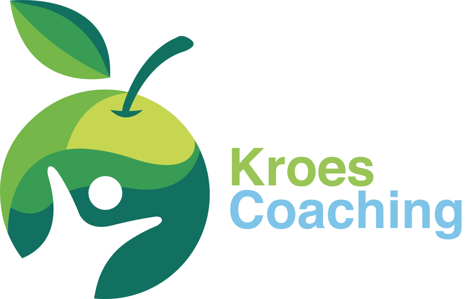 Kroes coaching