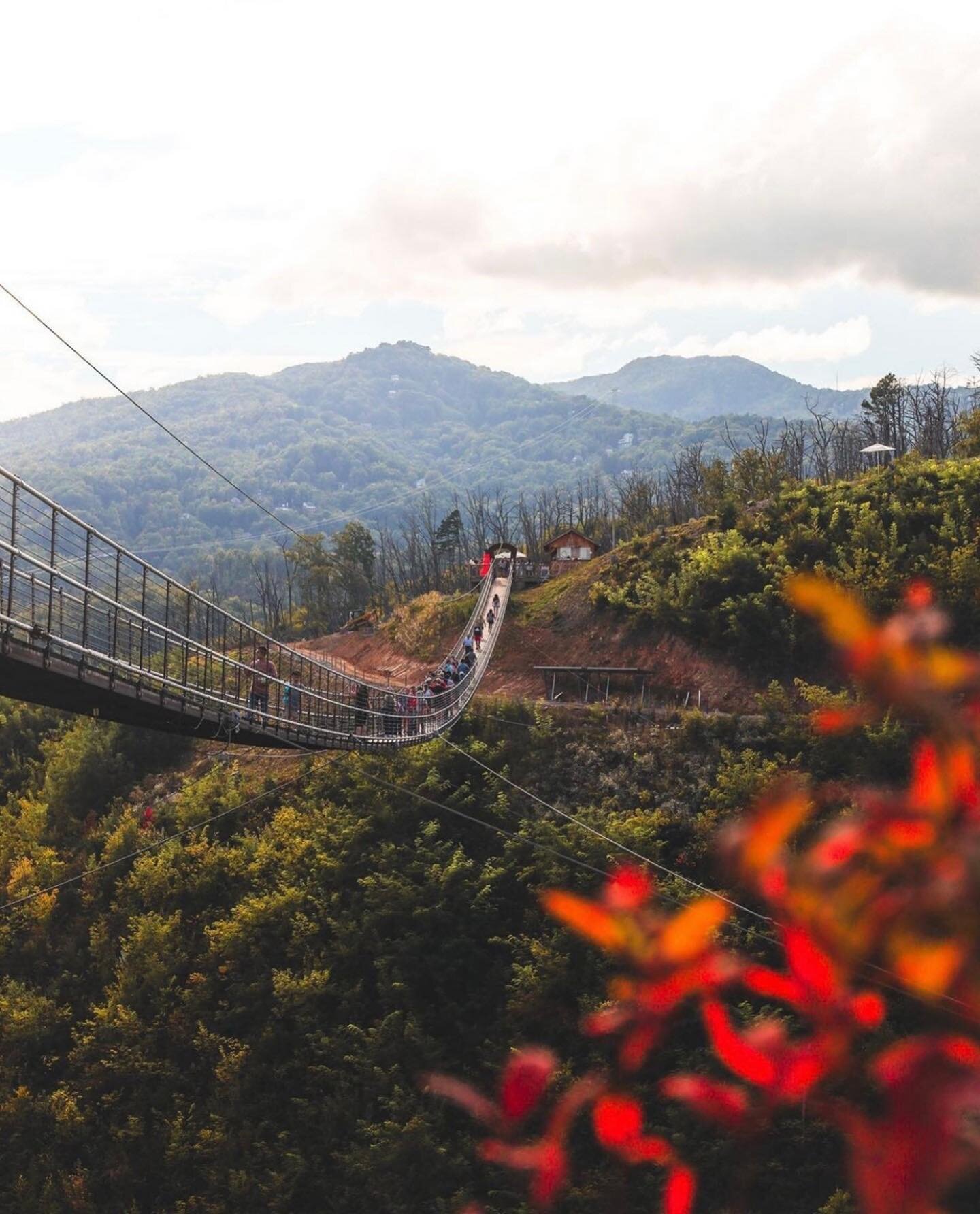 Only 23 more days until fall, but who&rsquo;s counting? 👀

What&rsquo;s your favorite thing to do in Gatlinburg during the fall? Drop a comment. 

Image via @gatlinburgskylift