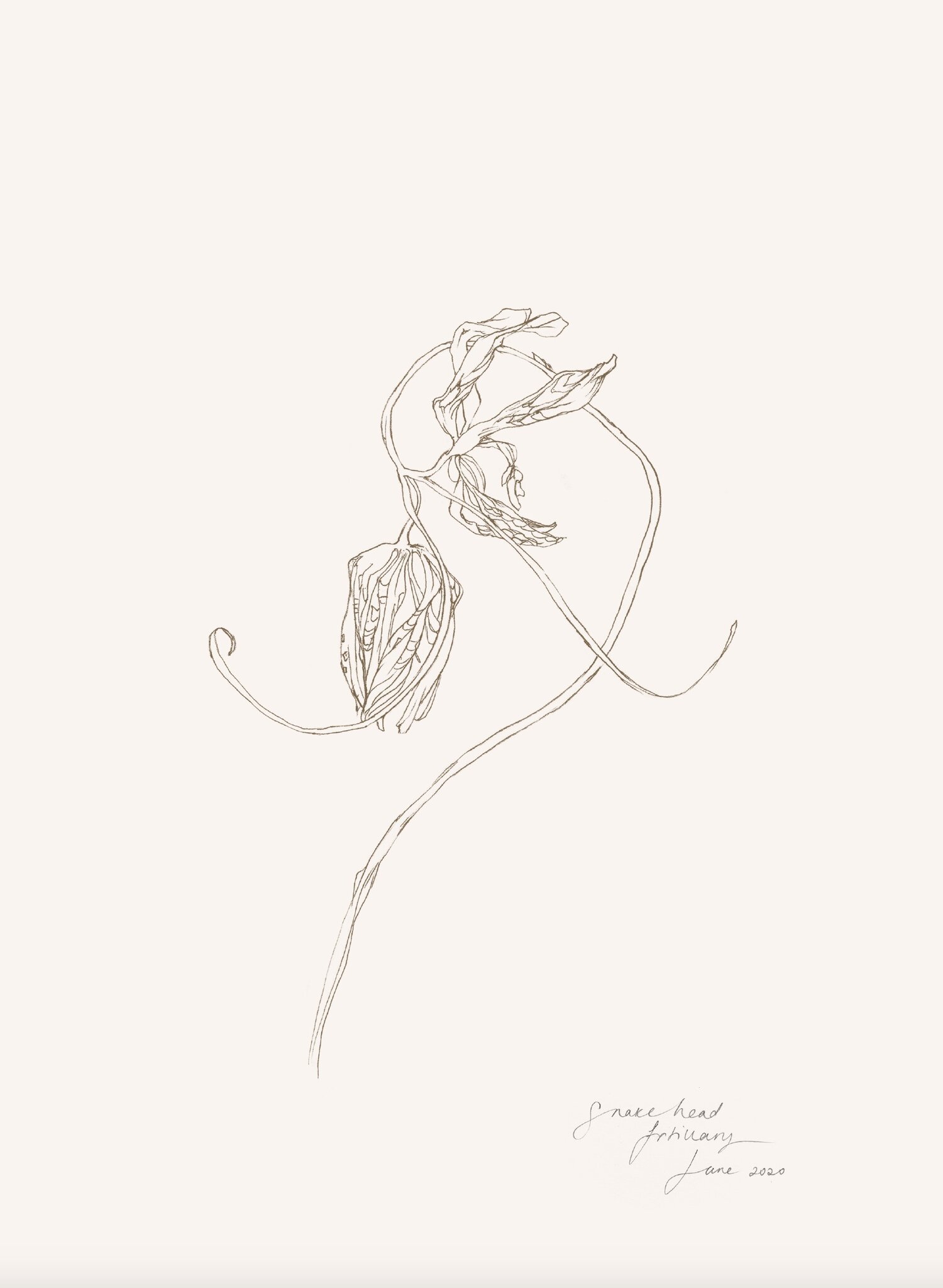 A beautiful brand identity design for renowned floral designer and ...