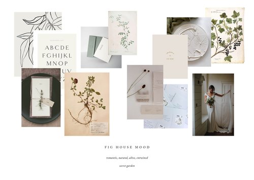 the vision and strategy for the Middleton Lodge rebrand — The Brand Stylist