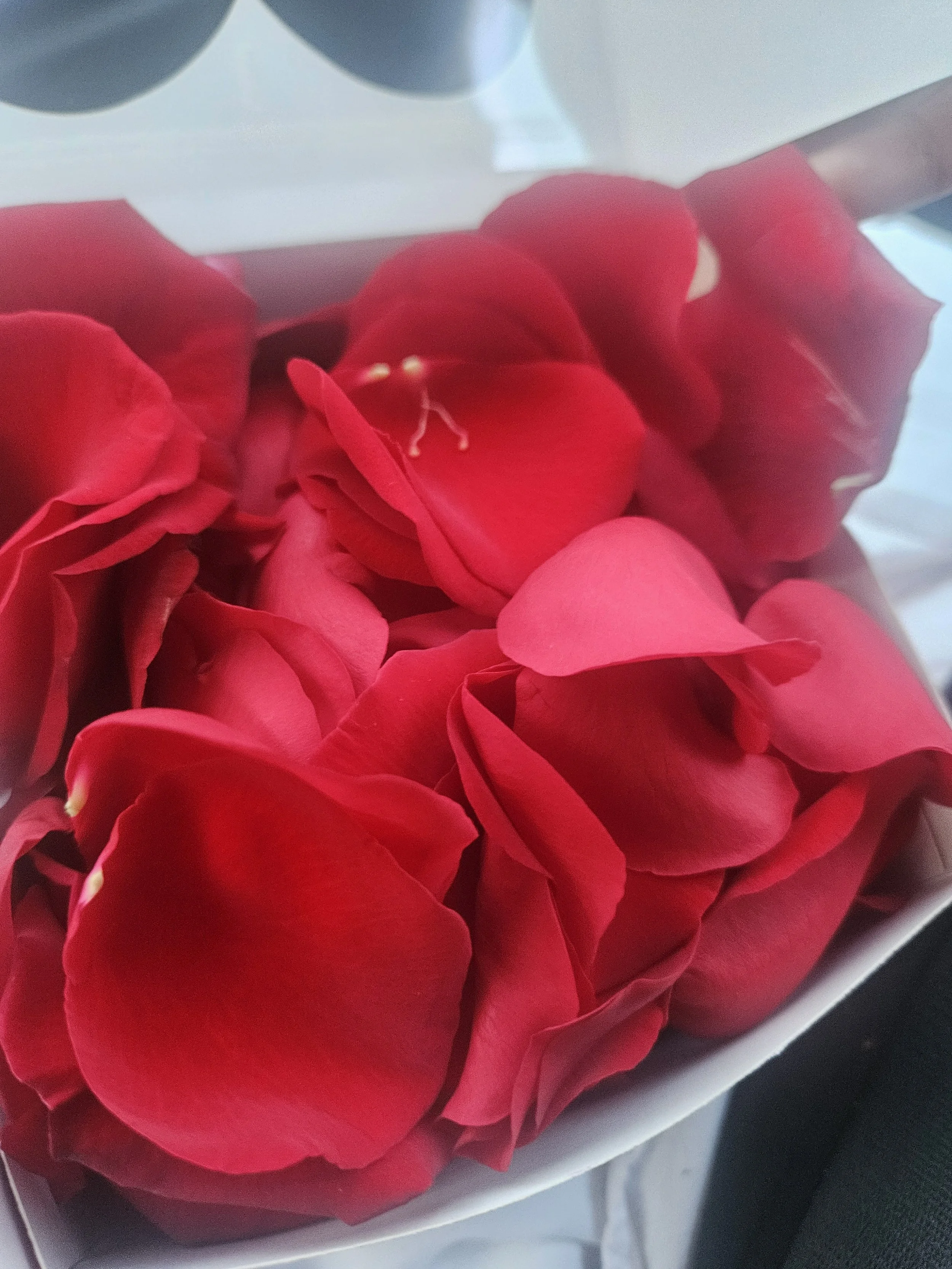 fresh rose petals